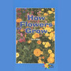How Flowers Grow: Rosen Real Readers (Unabridged)