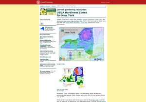 Screen capture of 