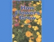 How Flowers Grow: Rosen Real Readers (Unabridged)