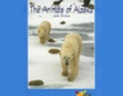 The Animals of Alaska: Rosen Real Readers (Unabridged)