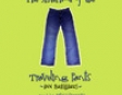 The Sisterhood of the Traveling Pants (Unabridged)