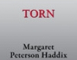 Torn: The Missing Book 4 (Unabridged)