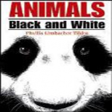 Animals: Black and White