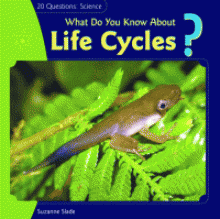 What do you know about life cycles?