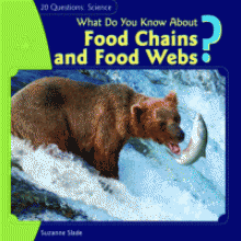 What do you know about food chains and food webs?