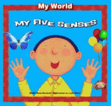 My five senses