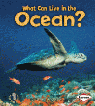 What can live in the ocean?