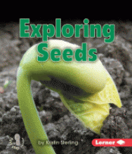 Exploring seeds	