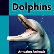 Dolphins