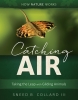 Catching Air: Taking the Leap with Gliding Animals