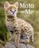 Moto and Me: My Years as a Wildcat's Foster Mom