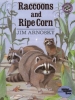 Raccoons and Ripe Corn