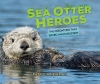 Sea Otter Heroes: The Predators That Saved an Ecosystem